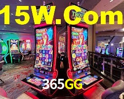 Premium Interface 365GG