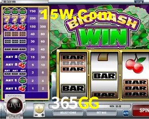 365GG - User Statistics